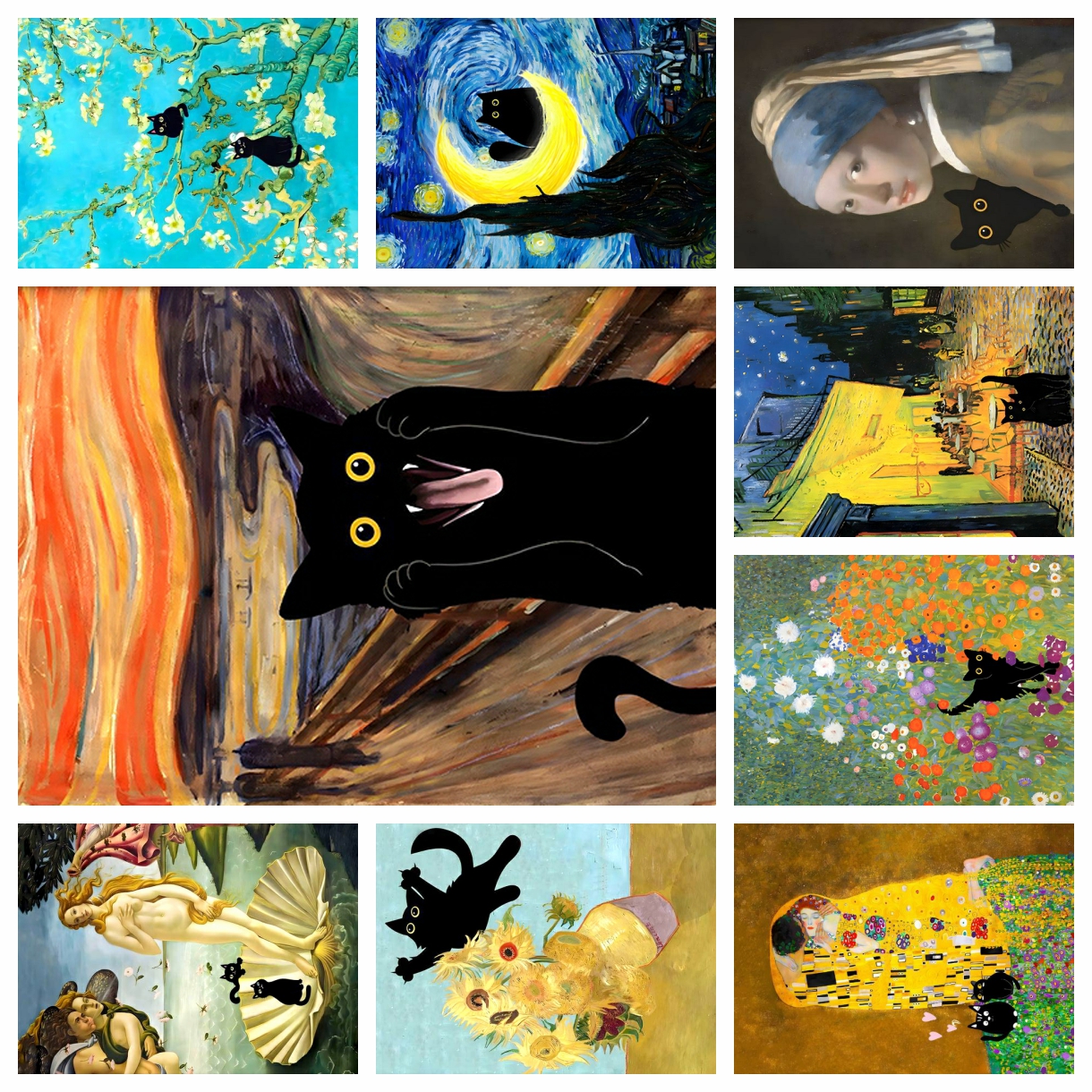 Embroidery Painting - 5D Diamond Painting Funny Cute Black