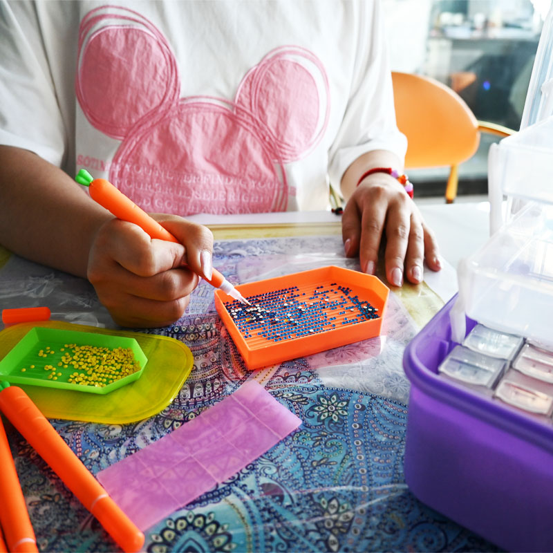 Diamond Embroidery Tools Carro - Embroidery Painting reseña y precio
