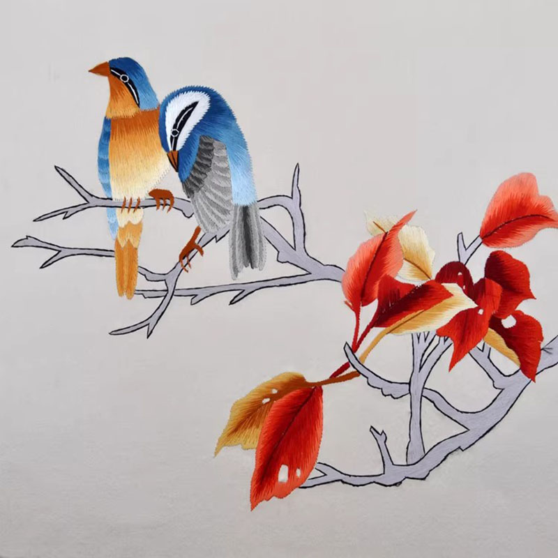 Chinese Suzhou Embroidery Kit  - Embroidery Running Stitch reseña y precio